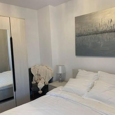 Cool Apartment تيميشورا المظهر الخارجي الصورة