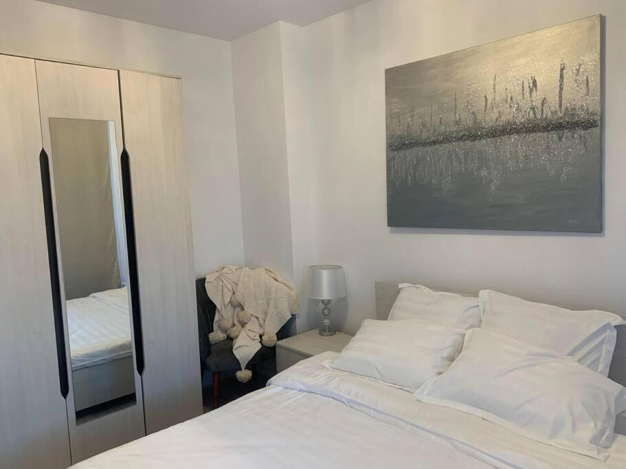 Cool Apartment تيميشورا المظهر الخارجي الصورة